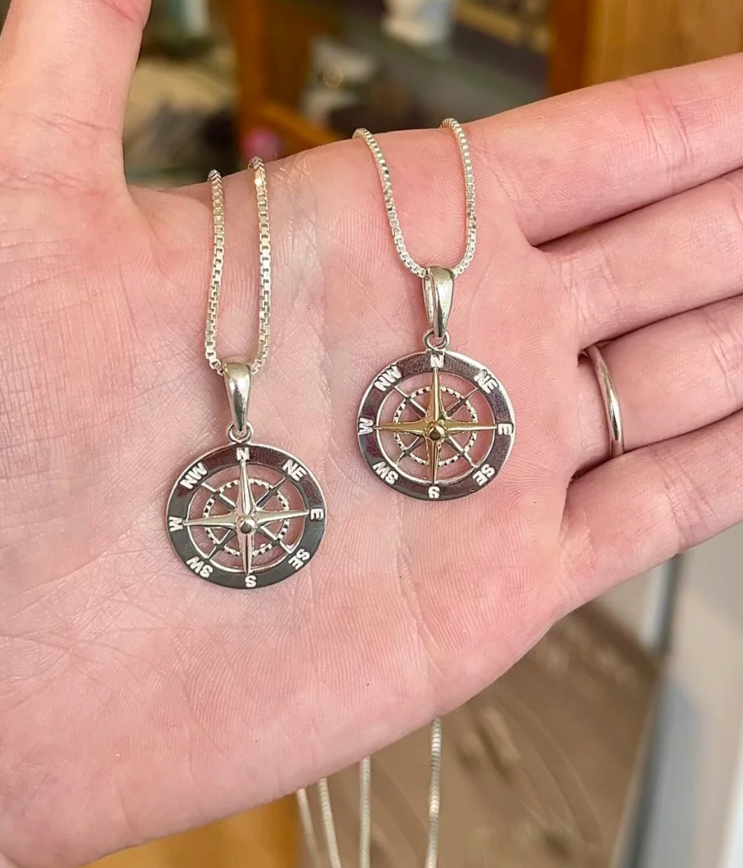 Medium Sterling Silver Compass Pendant with 14K Yellow Gold or Sterling Silver Needle on Sterling Silver Chain The Gilded Oyster