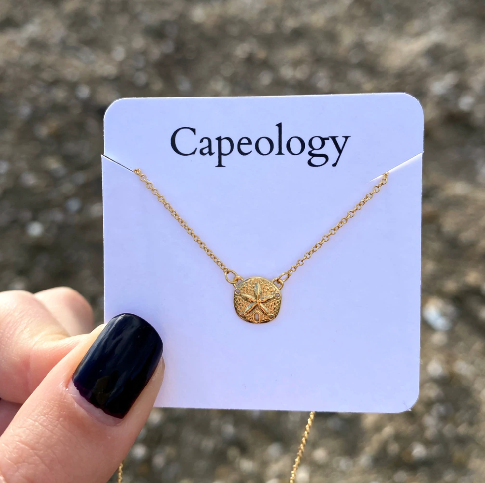 Sand dollar hotsell oyster necklace