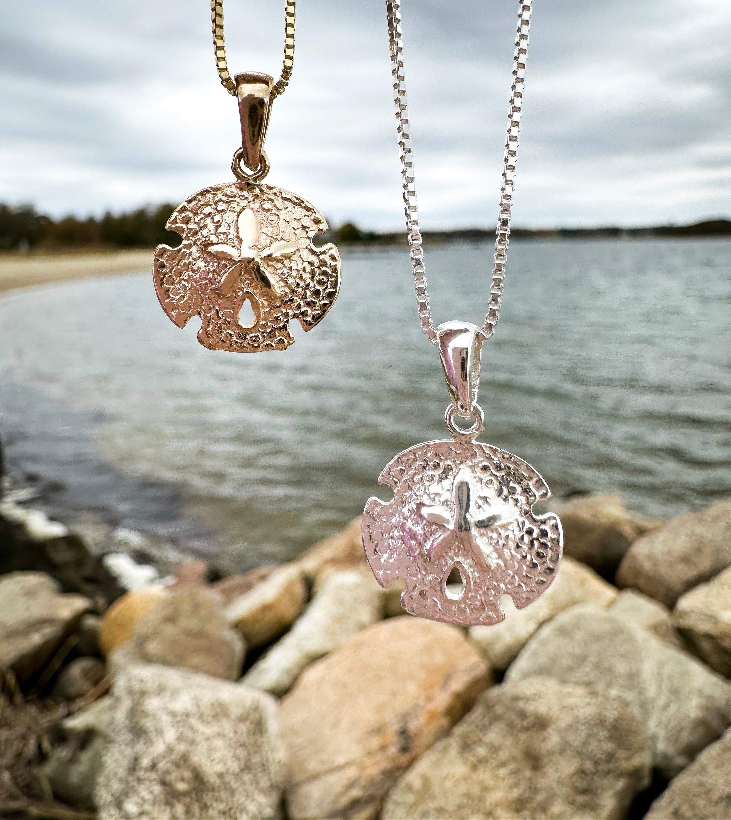 Exclusive Textured Sand Dollar Pendant on Chain The Gilded Oyster
