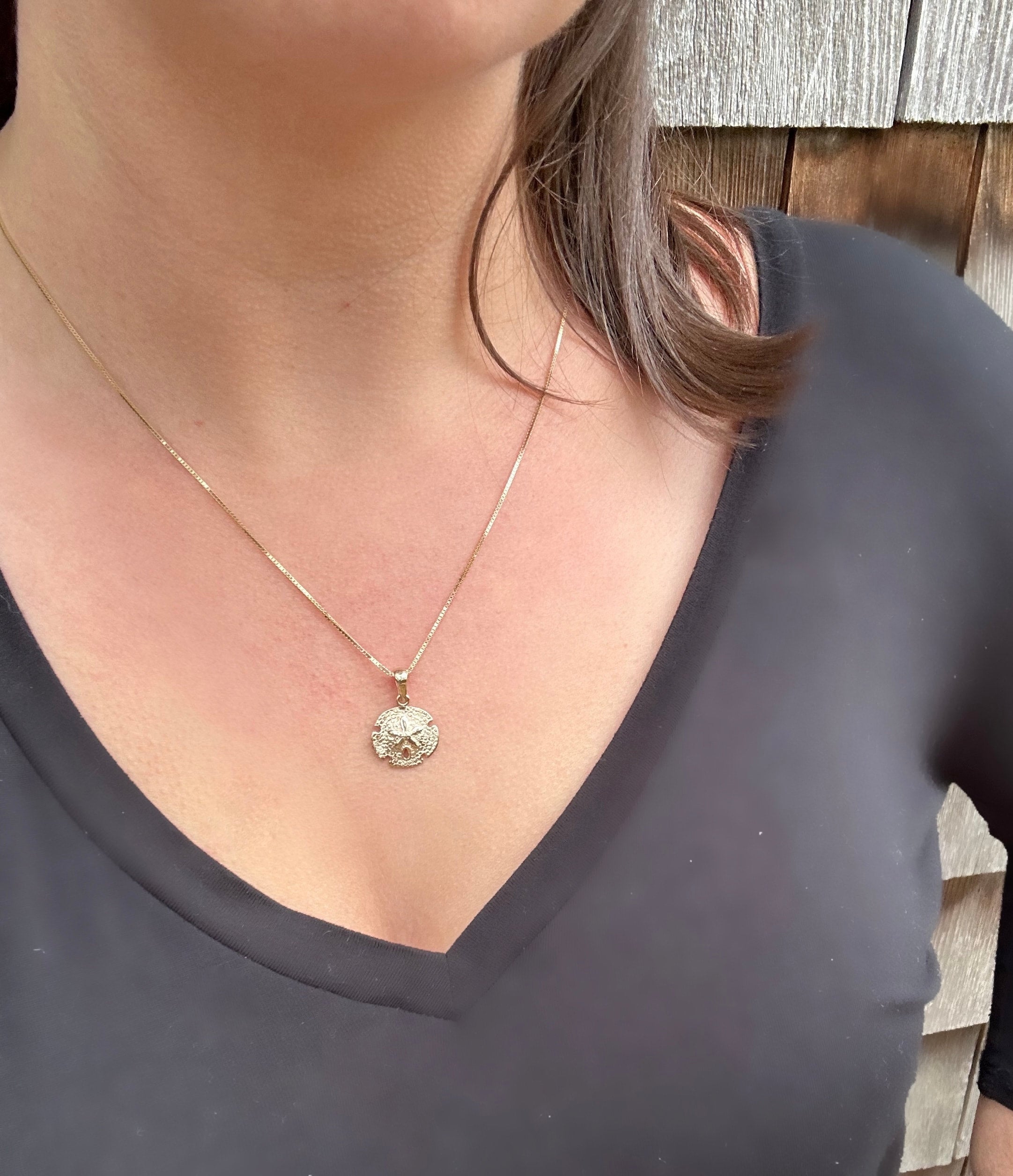 Sand dollar necklace alex and ani store