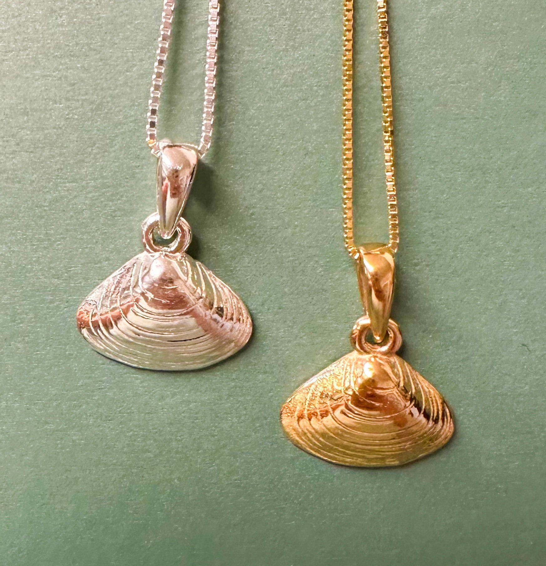 Small Quahog Clam Shell Pendant on Chain
